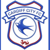 Cardiff City FC Discount Codes