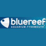 Blue Reef Aquarium Tynemouth Discount Codes