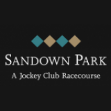 Sandown park Discount Codes