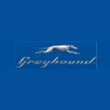 Greyhound Discount Codes