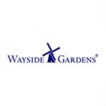 Wayside Gardens Discount Codes